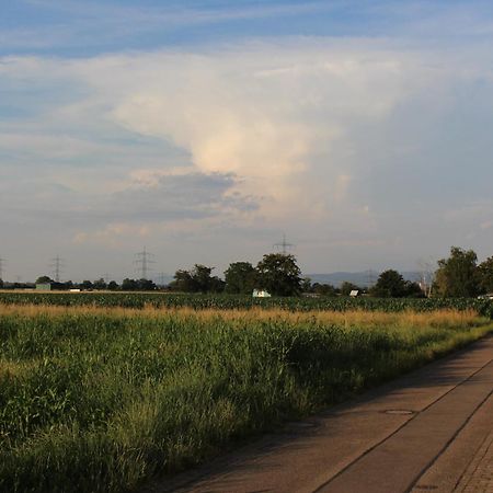 Ferienwohnung Am Weg Rust Zewnętrze zdjęcie